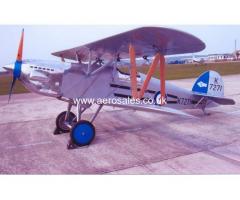 Two Isaacs Fury Aircraft For Sale