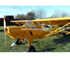 Easy Raider Tailwheel Microlight