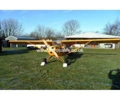 Easy Raider Tailwheel Microlight