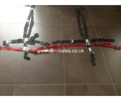 Aerobatic Harness (pitts S2c) Aviat