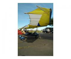 Pegasus XL-R Rotax 447 Microlight - Ebay Auction